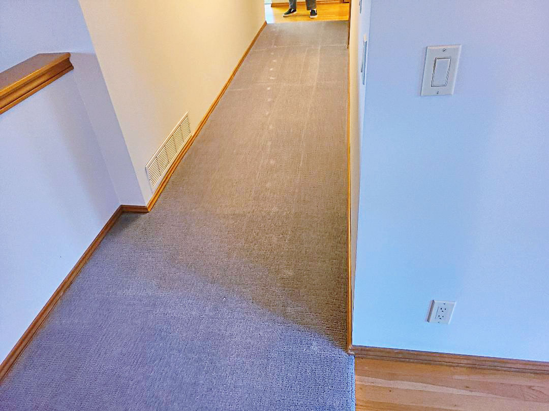 PictureAfter picture Carpet Cleaning by Hillsboro-Absolute Carpet Cleaning in Hillsboro, OR.