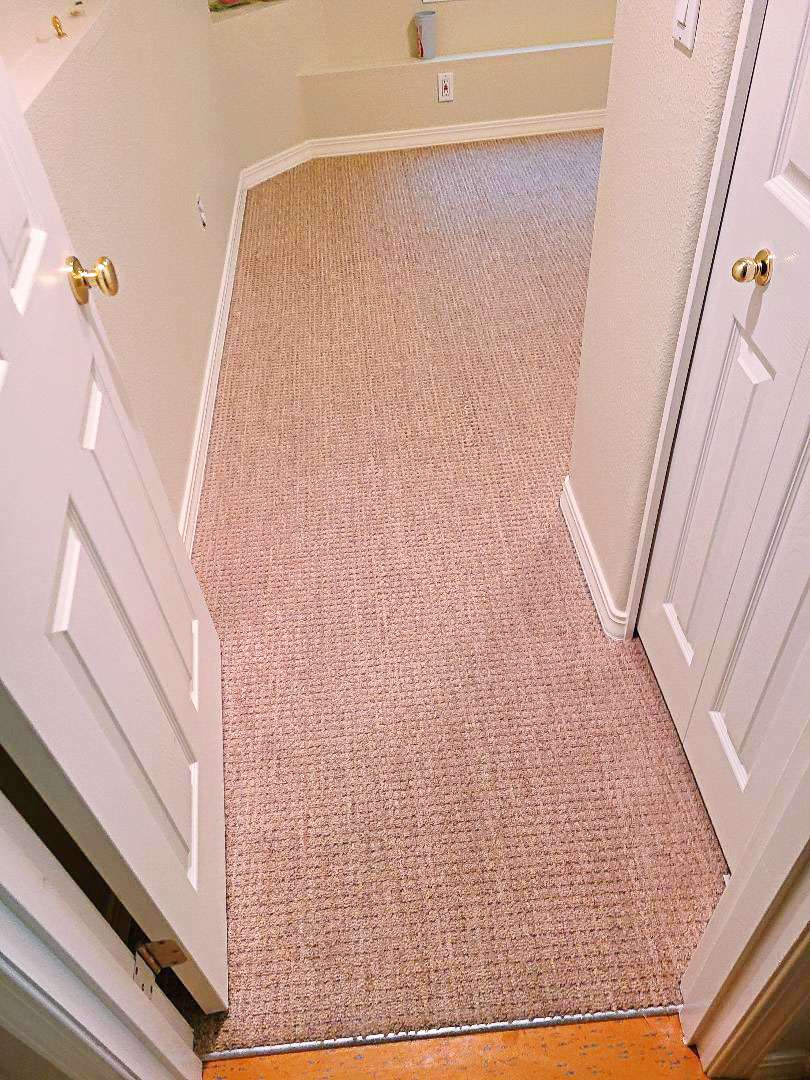 PictuAfter picture Carpet Cleaning by Hillsboro-Absolute Carpet Cleaning in Hillsboro, OR.re
