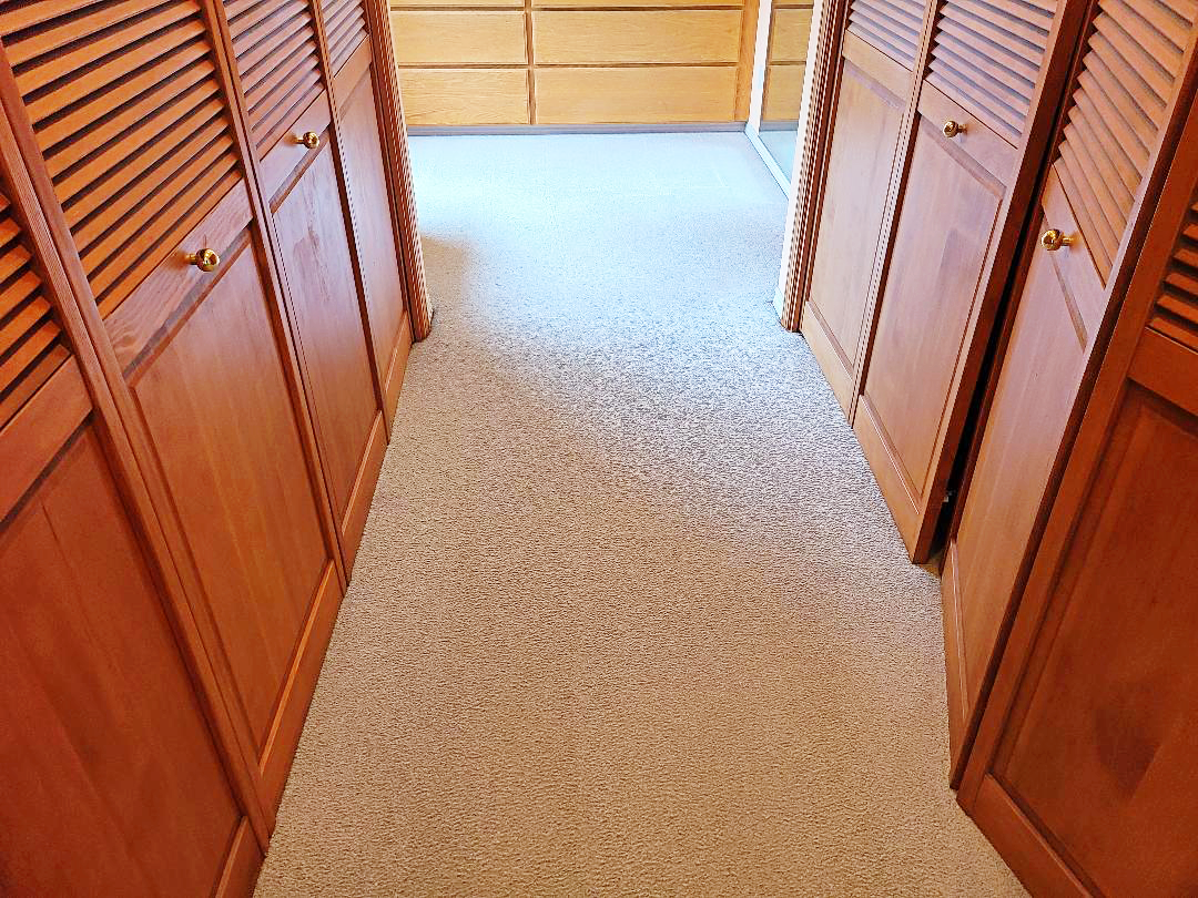 After picture Carpet Cleaning by Hillsboro-Absolute Carpet Cleaning in Hillsboro, OR.