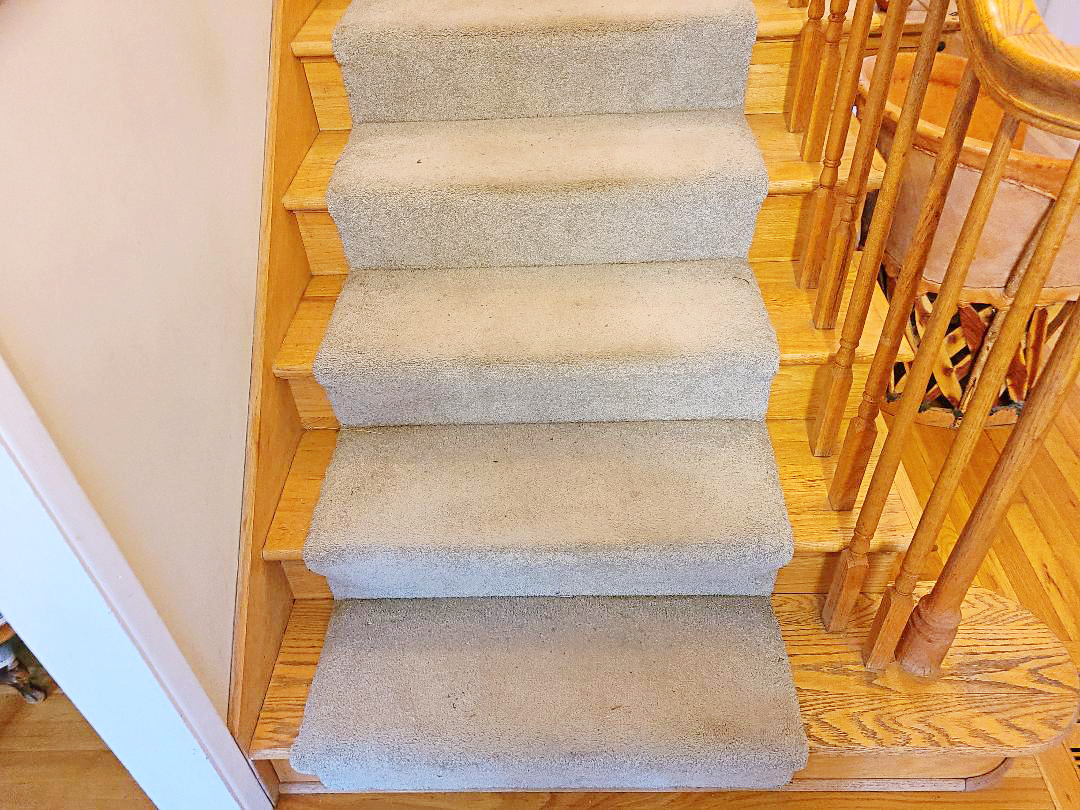 PictureBefore picture Carpet Cleaning by Hillsboro-Absolute Carpet Cleaning in Hillsboro, OR.